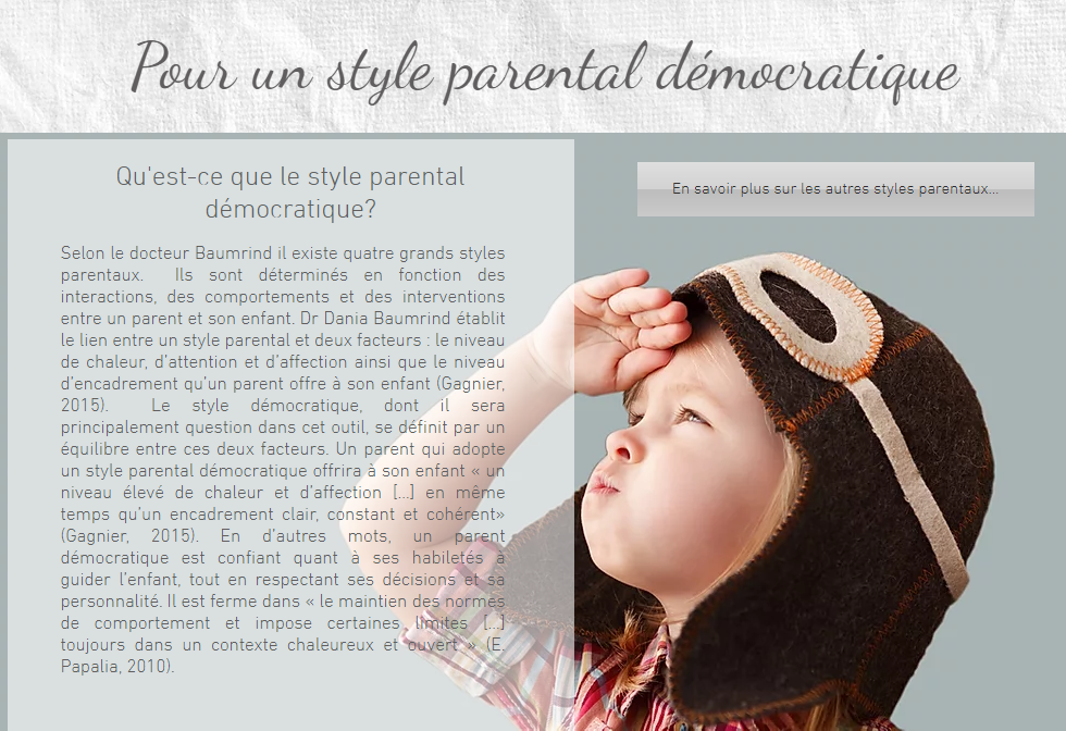SiteWebStyleParentalDemocratiquw.png